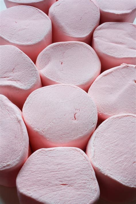 Pink Marshmallows Stock Photo Image Of Toasted Treat 14885088