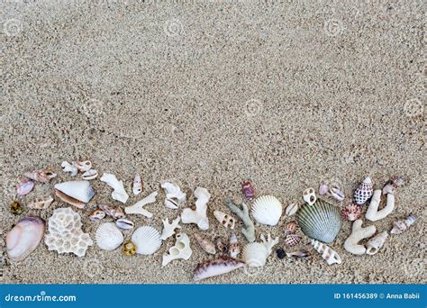 Seashells And Corals Border On Sand Background Stock Image Image Of