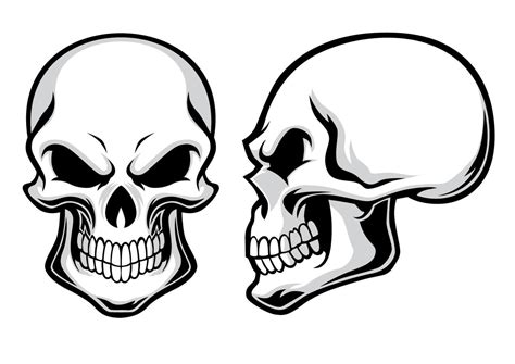 Cartoon Skull Collection In Set Vector Art At Vecteezy