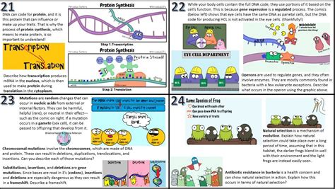 We are two sisters on a mission to demystify science by creating science videos, gifs, and comics. Mutations Worksheet Deletion Insertion And Substitution ...