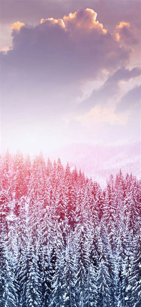 Download Iphone Xs Max Winter Background 1242 X 2688