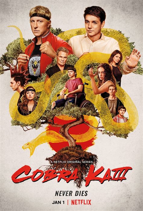 Cobra Kai Season 3 New Poster Rtrailer
