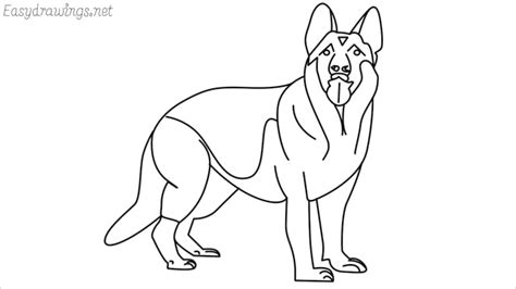 How To Draw A German Shepherd Step By Step 19 Easy Phase