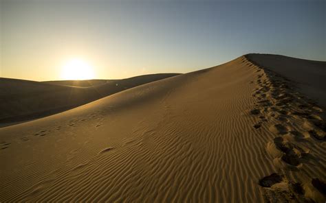 Desert Sunlight Sunset