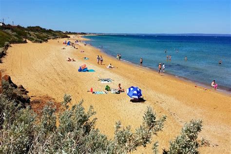 From 452 house rentals to 276 condo and apartment rentals, find a unique house rental for you to. 6 Melbourne Beaches You Must Visit