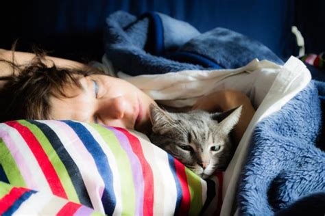 5 Reasons Your Cat Sleeps With You And Is It A Good Idea