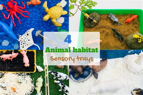 4 Easy Animal Habitat Sensory Trays Playtime Learning