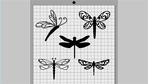 The Silhouettes Of Dragonflies Are Shown On A Sheet Of Graph Paper