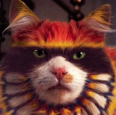 Ten Strange And Unusual Painted Cats That Are Probably Not Real