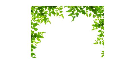 See more ideas about flower frame, leaf border, wallpaper backgrounds. Library of picture leaf border png files Clipart Art 2019