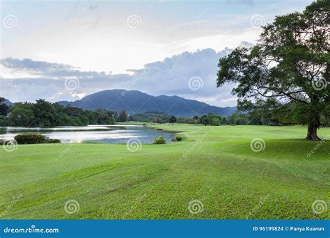 Golf Course Green Grass Field With Mountain Tropical Forest Stock