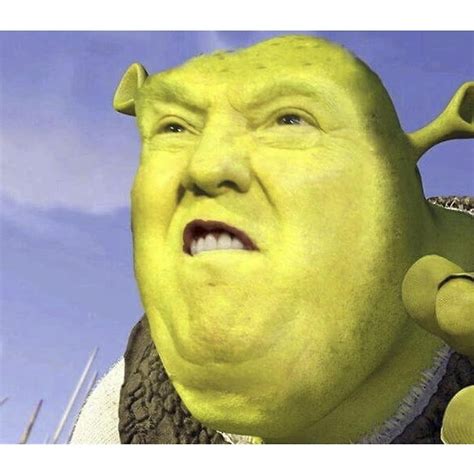 Shrek Image Meme Template