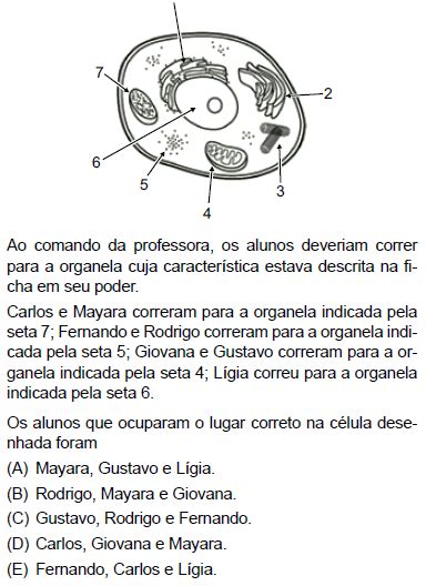 Exercício 6388084 Detalhes Questão Unesp 2016 Número 62