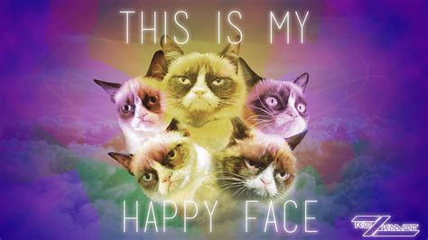 Grumpy Cat Desktop Wallpapers Top Free Grumpy Cat Desktop Backgrounds