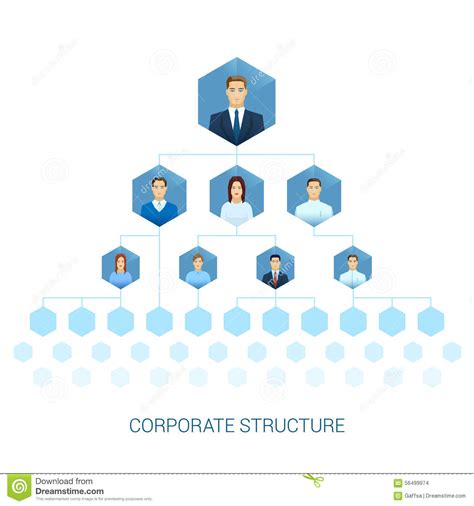 Organization Diagram Of Business Enterprise Flat Stock Vector Image