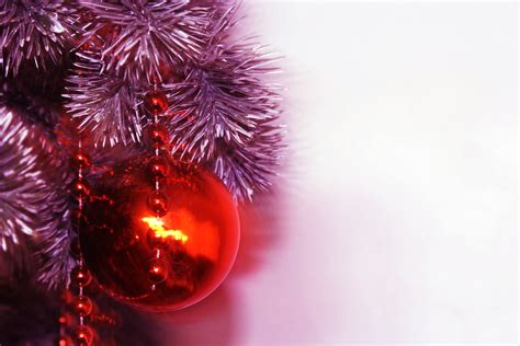 Christmas Background 7 Free Stock Photo Public Domain Pictures