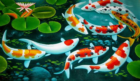 Koi Fish Background ·① Wallpapertag