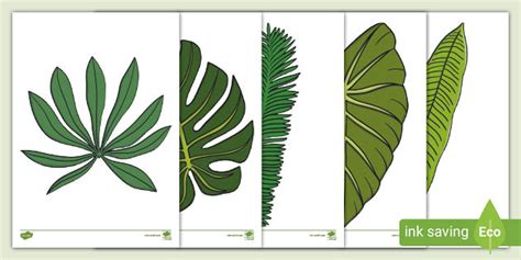 Ks1 Jungle Leaf Template Cut Outs