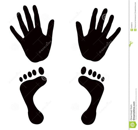 Vector Shapes Hands Feet Stock Illustration Illustration