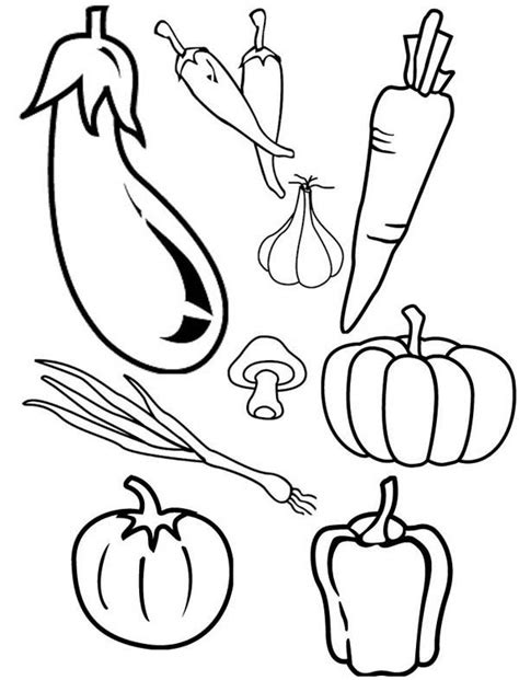 The easiest plant to grow during fall, one of them out of many names, is kale. Cornucopia Vegetables Coloring Page | Vegetable drawing ...