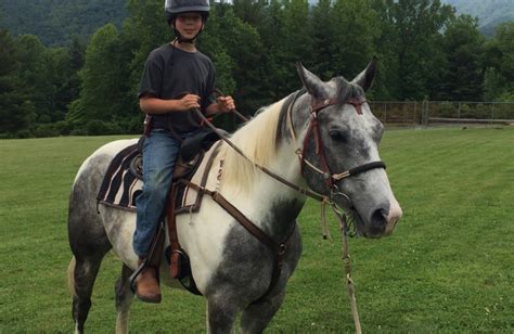 Some pet sitters will charge a fixed rate per. Pisgah View Ranch (Candler, NC) - Resort Reviews ...