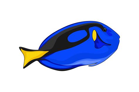 Fish Illustrations Graphic By Graphicrun123 · Creative Fabrica