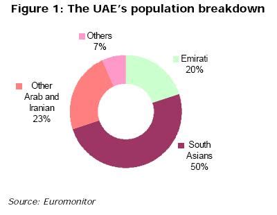 Cultural diversity in the uae. Culture and Social Development - United Arab Emirates