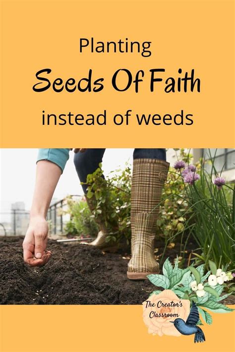 Planting Seeds Of Faith Instead Of Weeds The Creators Classroom