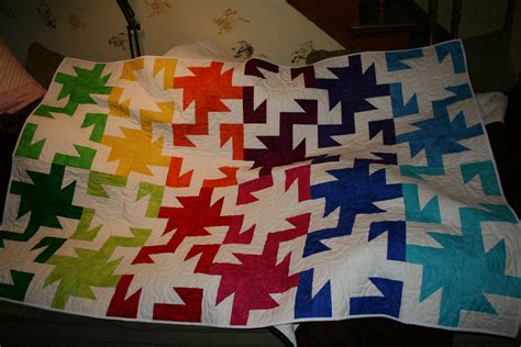 Could Use Accuquilt Go Die Quilting Projects Quilts Accuquilt