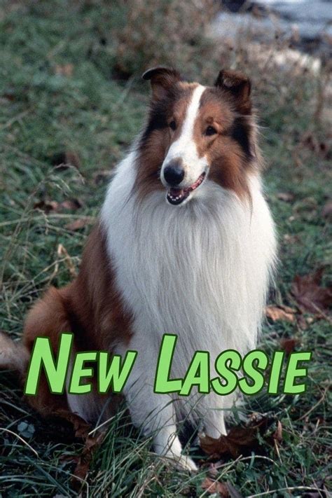 The New Lassie Tv Series 1989 1992 Posters — The Movie Database Tmdb