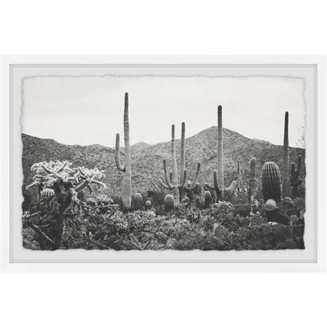 East Urban Home Gerahmter Fotodruck A Gathering Of Cacti Von Ann Barnes