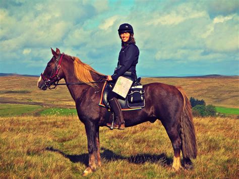 Equestrian Dreams Go Wild In Wales With Freereins Horse Riding