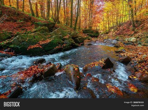 Mountain River Forest Image And Photo Free Trial Bigstock