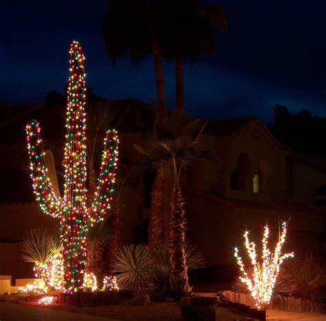All three are easy to grow and have similar growth habits and care. Arizona Christmas Trees | New Mexican Christmas in 2019 ...