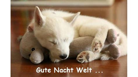 Fügen sie mithilfe dieser whatsapp bilder positive stimmung in den alltag ein. süße gute nacht bilder | Bilder und Sprüche für Whatsapp ...