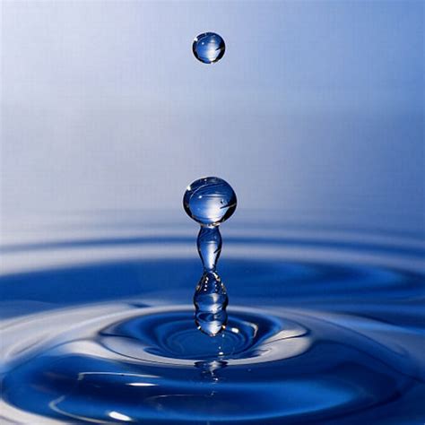Quotes About Drop Of Water 83 Quotes