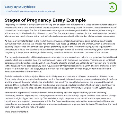 stages of pregnancy essay example