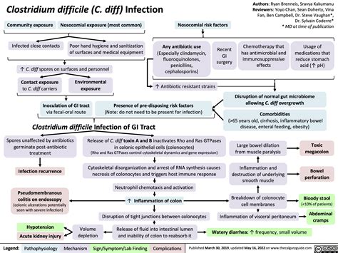 Clostridium Difficile Infection Pathogenesis And Clinical Findings