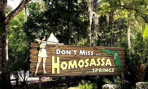 Homosassa Springs Florida Wildlife State Park My Cornacopia