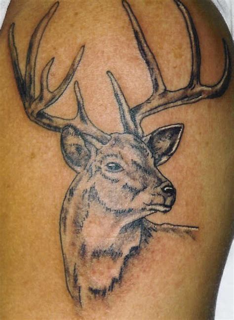 Meaning Of Tattoo Stars Deer Head Tattoos Designs Gallery Pictures