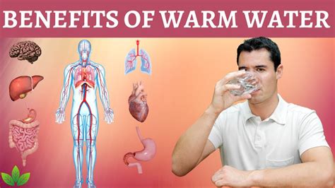 12 Health Benefits Of Drinking Warm Water Youtube