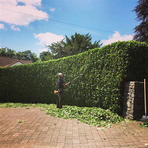 Hedge Trimming Cardiff | Maintenance | Free Quote