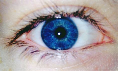 Really Intense Vivid Eye Colors Especially Blue And Green And Violet If That Would Exist In