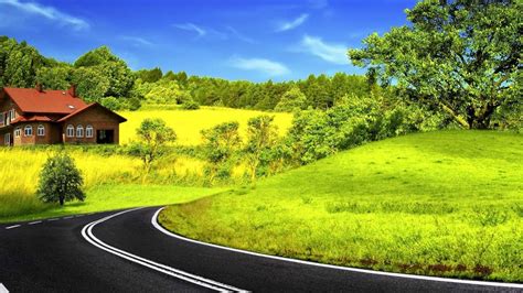Road Between Green Grass Field Trees Blue Sky Background Hd Nature