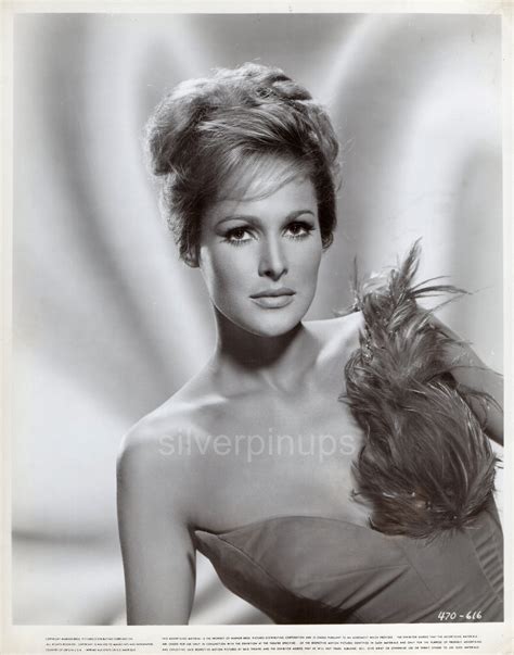Orig 1963 Ursula Andress James Bond Beauty Glamour Portrait 4 For