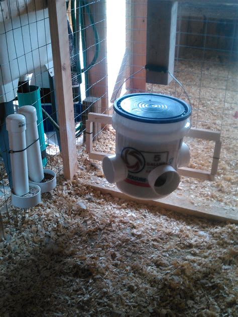 5 Gallon Bucket Feeder Diy Backyard Chickens Learn How To Raise