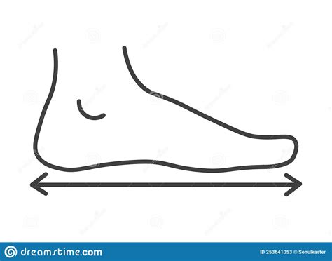 Dimensions And Measurements Of Human Feet Vector Stock Vector