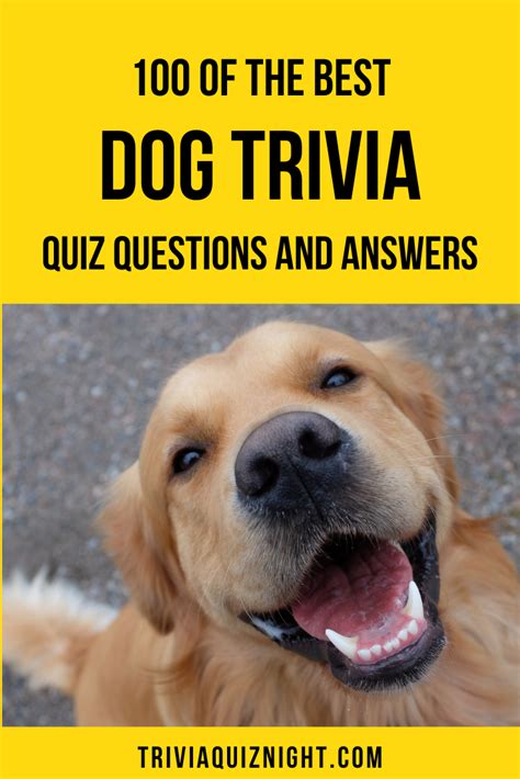 100 Dog Trivia Questions And Answers Trivia Quiz Night Trivia