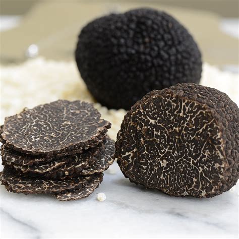 Fresh Black Perigord Truffle Buy Fresh Truffles Online
