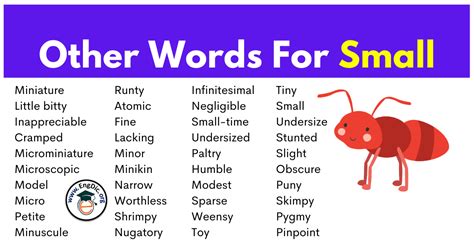 300 Synonyms For Small Other Words For Small Engdic